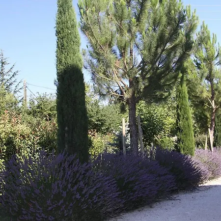Hébergement de vacances De Marie *